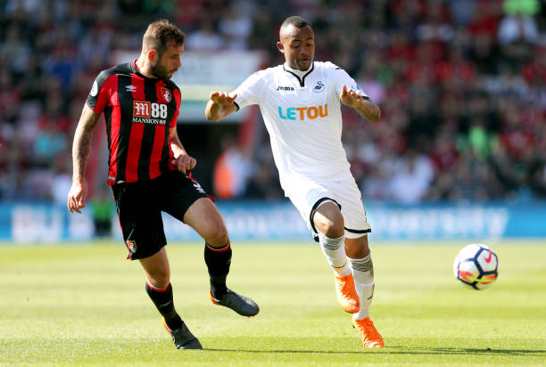 与林诗栋不 与林诗栋不