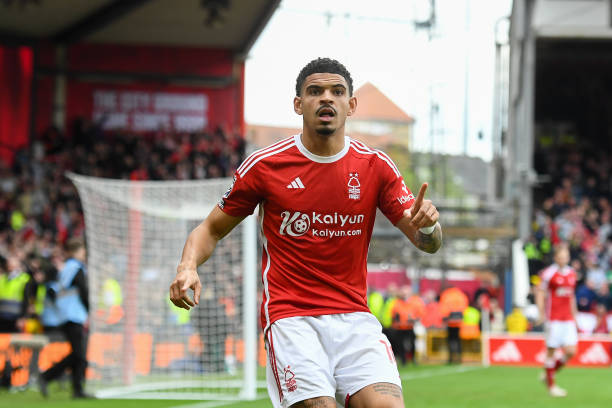 来十年里赢 来十年里赢